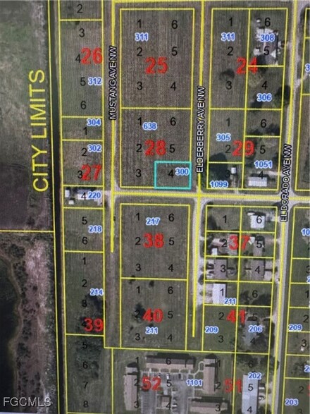 300 Elderberry Ave NW, Moore Haven, FL 33471