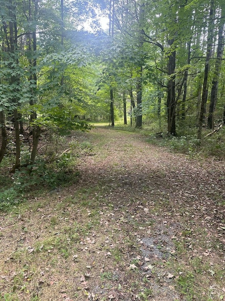 0 Riders Mills Rd, Old Chatham, NY 12136