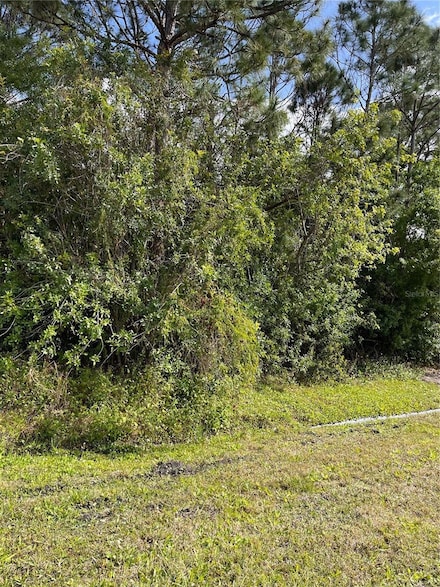 0 SE 44th Ave, Belleview Heights, FL 34491