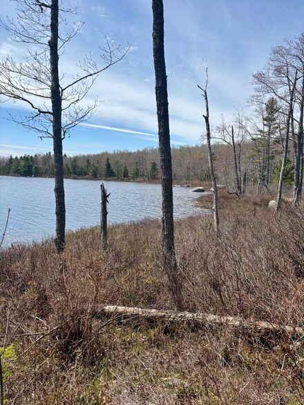 Map8Lot30 Walker Heights, Orland, ME 04472