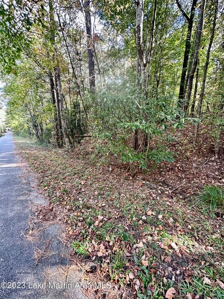 # 2,3,5,6 Ingram St, Abbeville, AL 36078