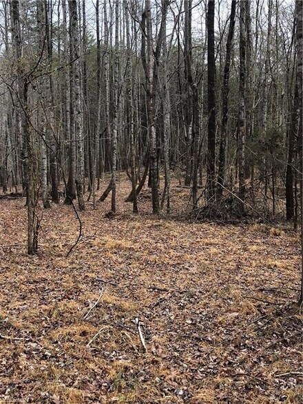 0000 Cherry Ln, Walnut Cove, NC 27052