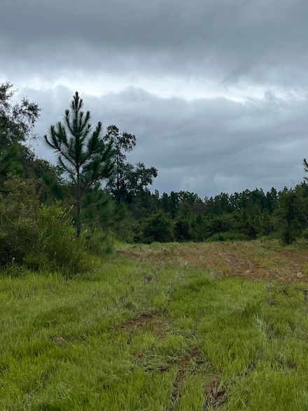 TBD Highway 4, Baker, FL 32531