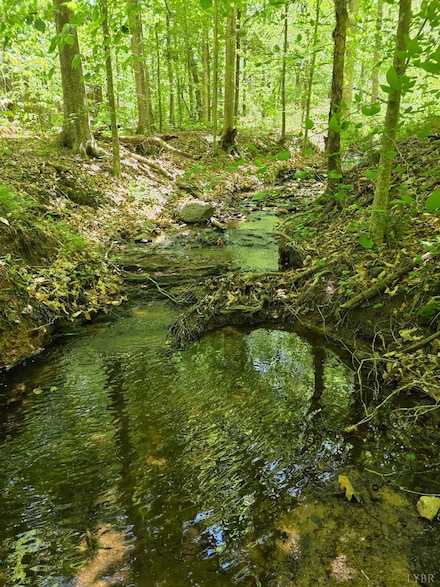 0 Holiday Lake Rd Unit 359327, Appomattox, VA 24522