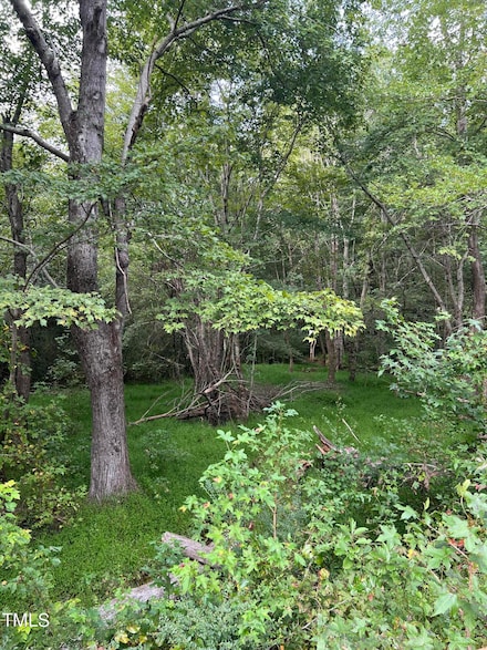 Lot 3 Us 264a, Bailey, NC 27807