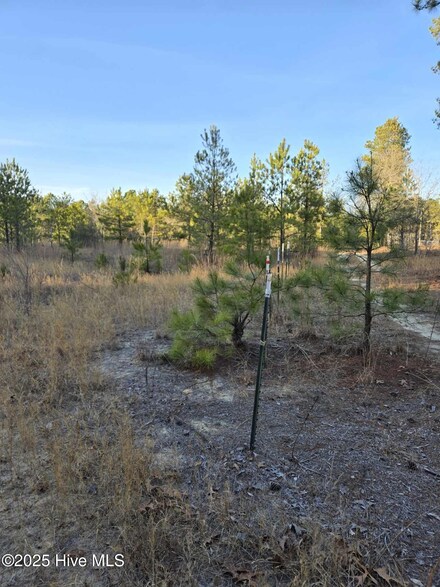 0 Dirt Rd, Hamlet, NC 28345