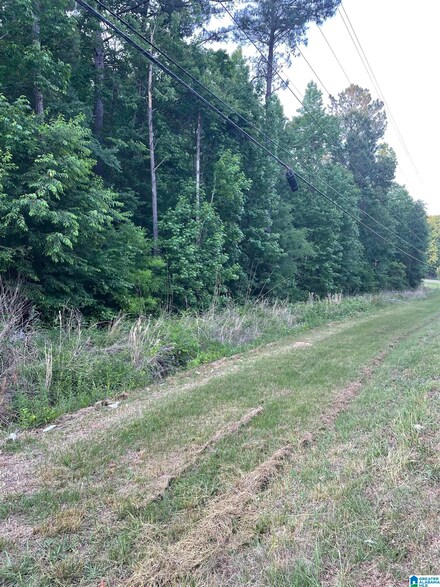 0000 County Road 93 Unit Vacant Land, Helena, AL 35080