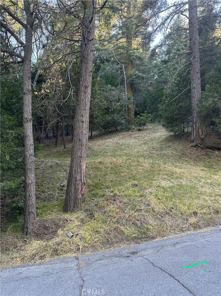 0 Albrun Dr Unit RW24121360, Crestline, CA 92325