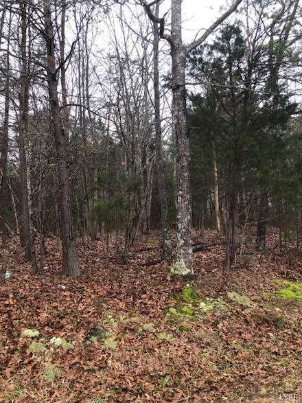 3 Mohawk Rd, Long Island, VA 24569