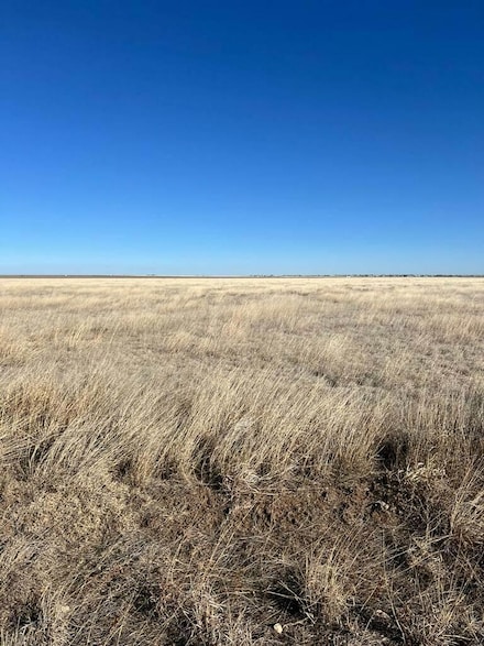 0 Farm To Market Road 722, Dumas, TX 79029
