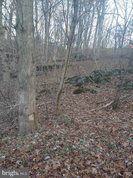 0 Pin Oak Rd Unit VAWR2006146, Front Royal, VA 22630