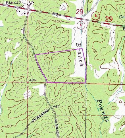 0 Cr 4201, New Site, MS 38859