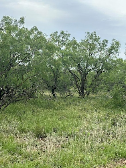 9510 Iron Spoke Trail Unit 15, Carlsbad, TX 76934