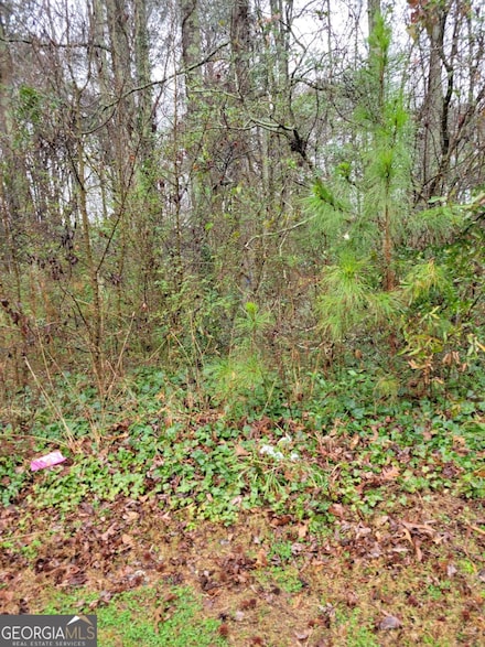 3695 Warwick Way, Snellville, GA 30039