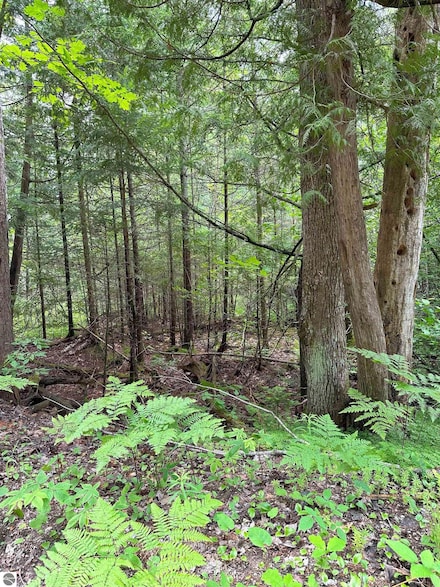 LOT 42 Birchcrest Dr, Bear Lake, MI 49646