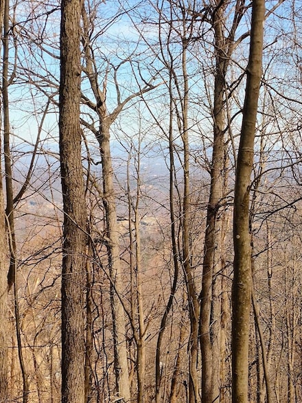 0 Bent Mountain Rd, Bent Mountain, VA 24059
