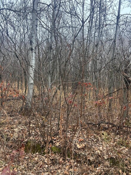 TBDxx Golf Course Dr, Cushing Township, MN 56475