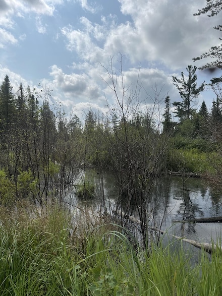 ON Malvern Fire Ln, Rhinelander, WI 54501