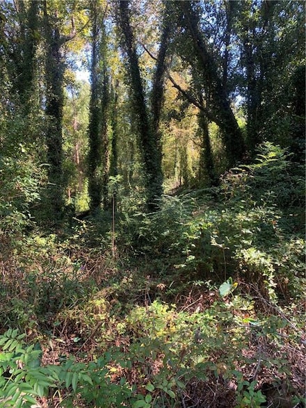 22761 Main St, Fairhope, AL 36532