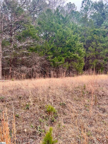 00 N Broad St, Clinton, SC 29325