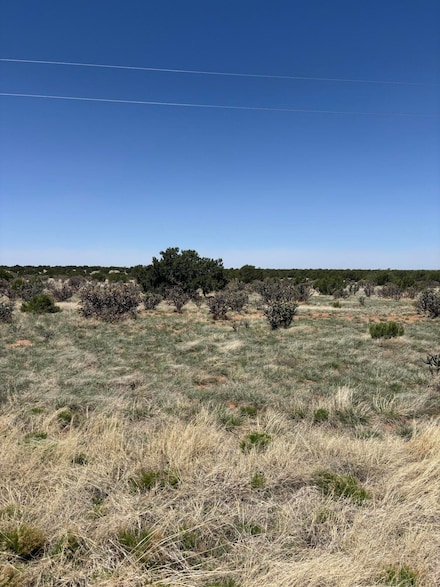 47 Lost Saddle Loop, Santa Rosa, NM 88435