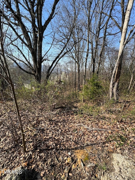 2137 Hiara Dr, Kingsport, TN 37660