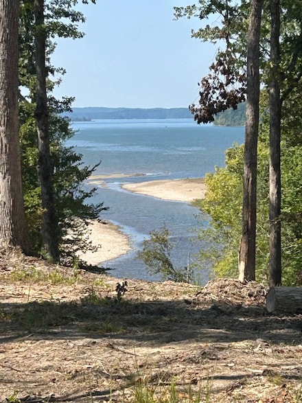 306 Streamside Dr Unit Lot 61, Dover, TN 37058