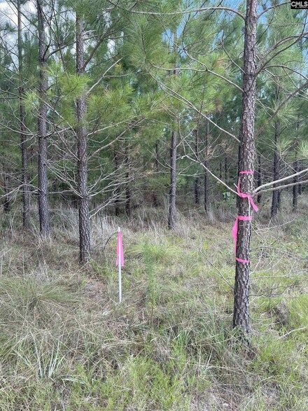 BFF 4 Brunson Teal Rd Unit BFF 4, Cheraw, SC 29584