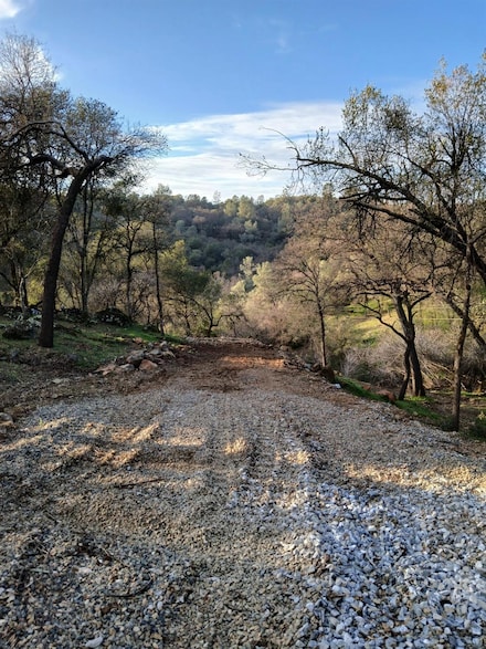 0 Lorrain St, Shingle Springs, CA 95682