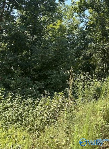 2.66 acres Blackburn Rd, Athens, AL 35611