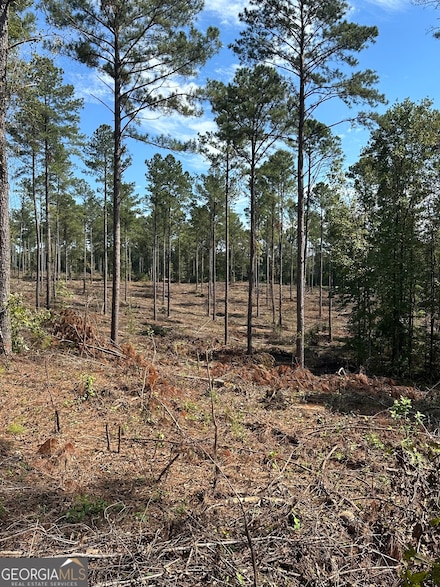 0 Seven Islands Rd Unit 10465723, Madison, GA 30650