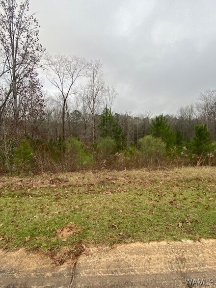 11696 Elam Dr, North Port, AL 35475