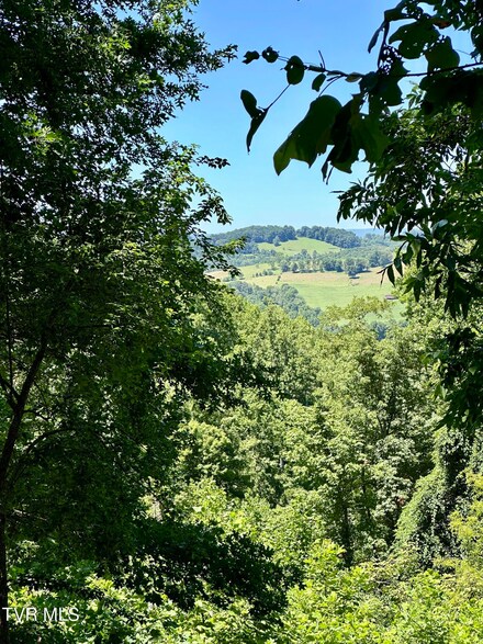 0 Big Moccasin Rd, Nickelsville, VA 24271