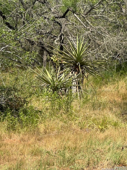 5986 Fm 1107 Unit B, Stockdale, TX 78160