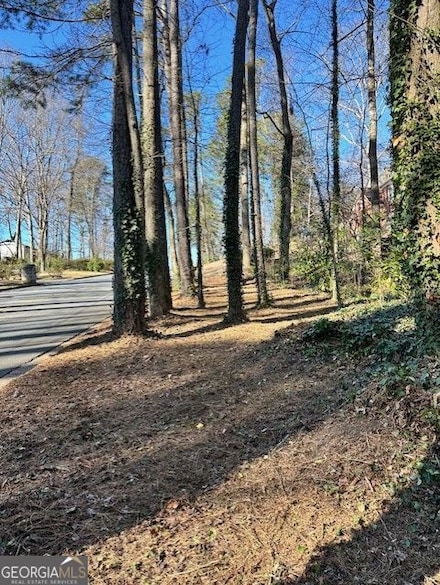 3344 Prince George St, Atlanta, GA 30344