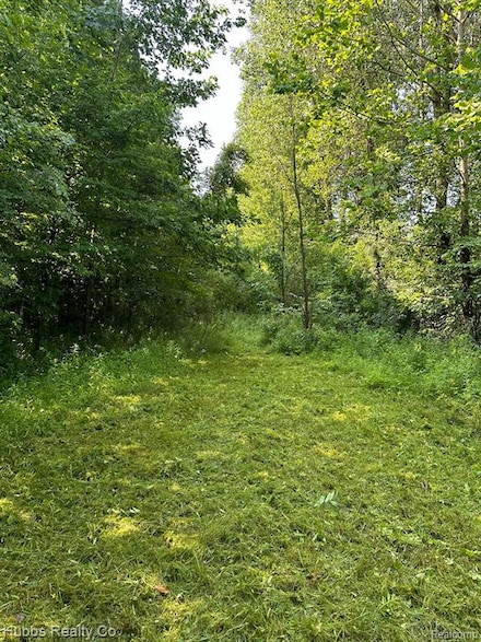 0000 Birch Run Rd, Arbela Township, MI