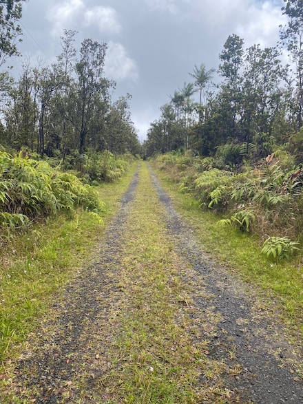 11-2724 Uakoko Rd, Fern Forest, HI 96778