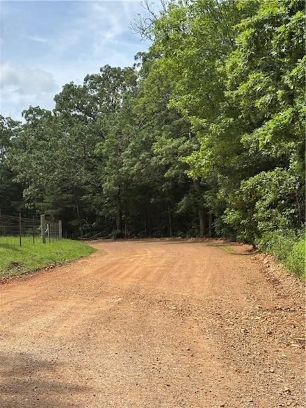 0 Tbd Cr 507 Unit 1312043, Berryville, AR 72616