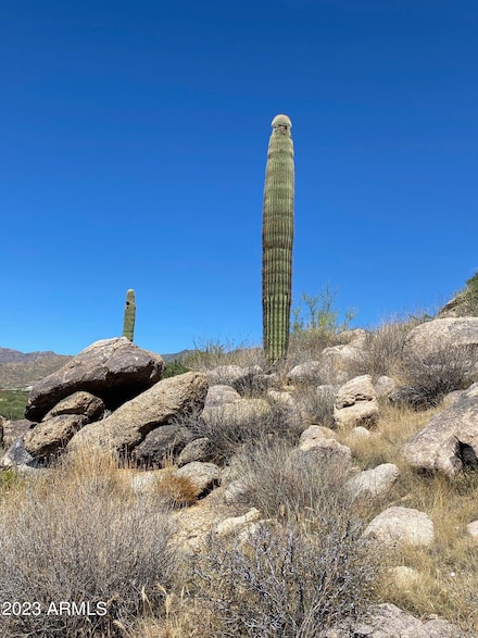 23325 Gold Dollar Trail, Congress, AZ 85332