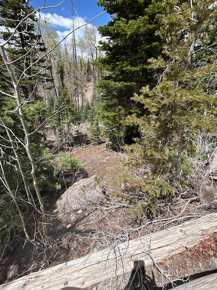 271 E Deer Trail Rd, Brian Head, UT 84719