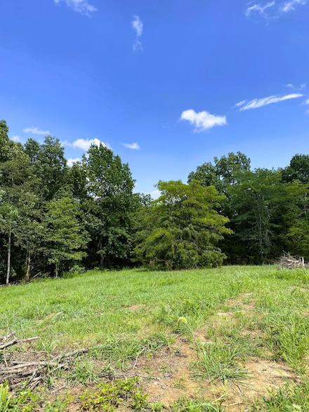 15 AC Hwy 22 Tract 2, Williamstown, KY 41097