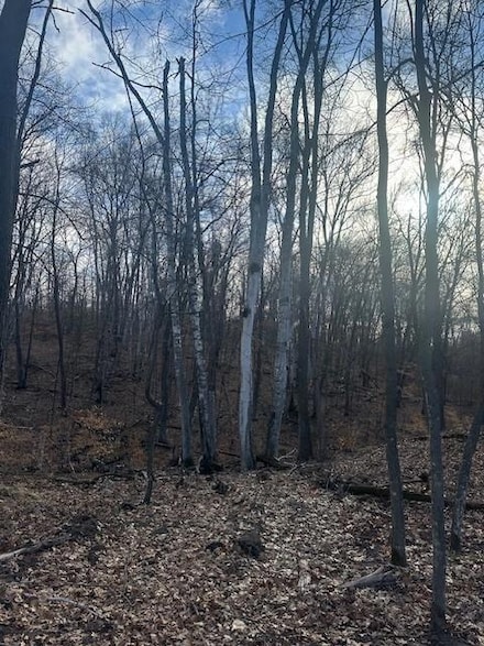 L3B2 Wilderness Trail, Crosslake, MN 56442
