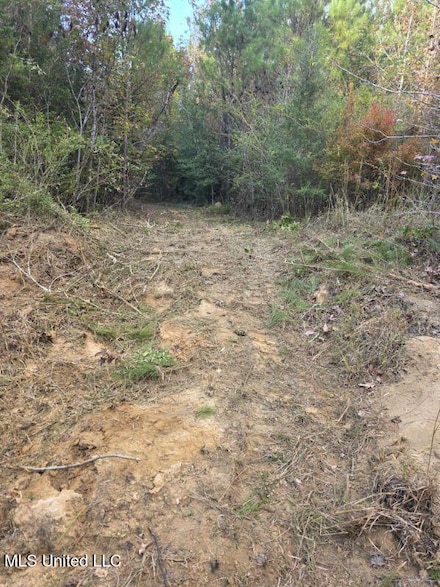 125 Moses Ln, Prentiss, MS 39474
