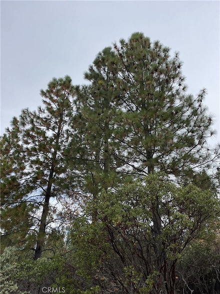 0 Fitzgerald Dr, Forest Ranch, CA 95942