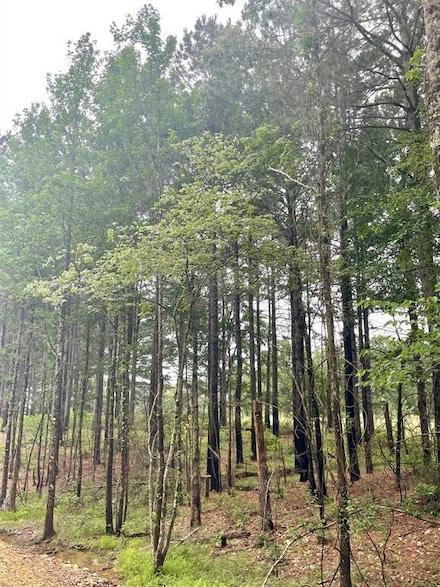 33 Upper Vista Ridge Trail, Broken Bow, OK 74728