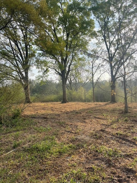 0 Buck Kirkland Rd, Poplarville, MS 39470