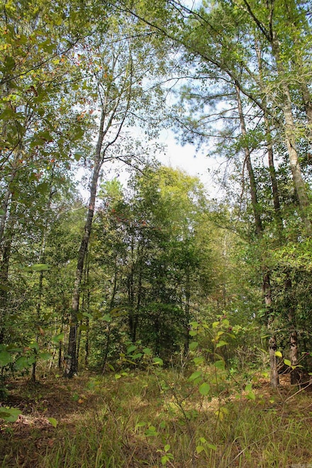 TBD Polk County Road 151, Hatfield, AR 71945