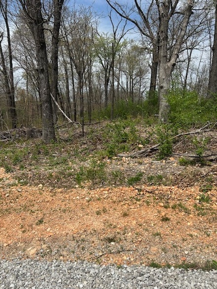 0 Hutchinson Ln Unit 1304597, Bella Vista, AR 72715