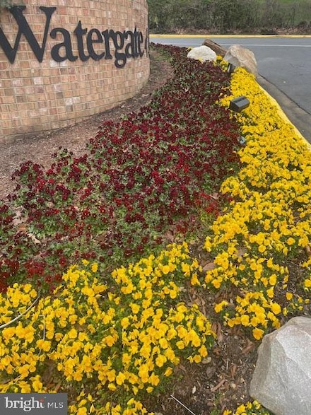 309 Yoakum Pkwy Unit 201, Alexandria, VA 22304