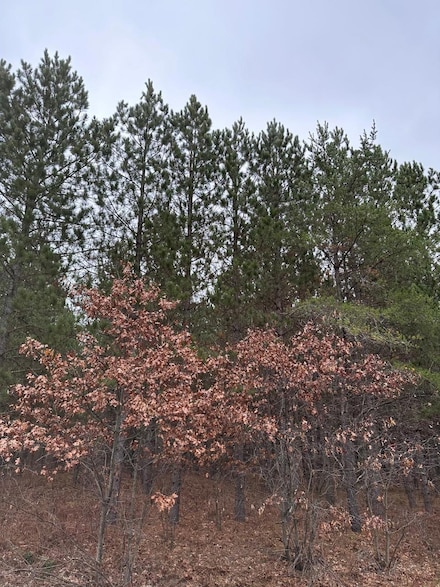 ON Lois Rd Unit 4069-3, Tomahawk, WI 54487